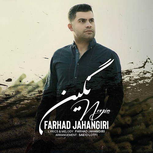 فرهاد جهانگیری نگین